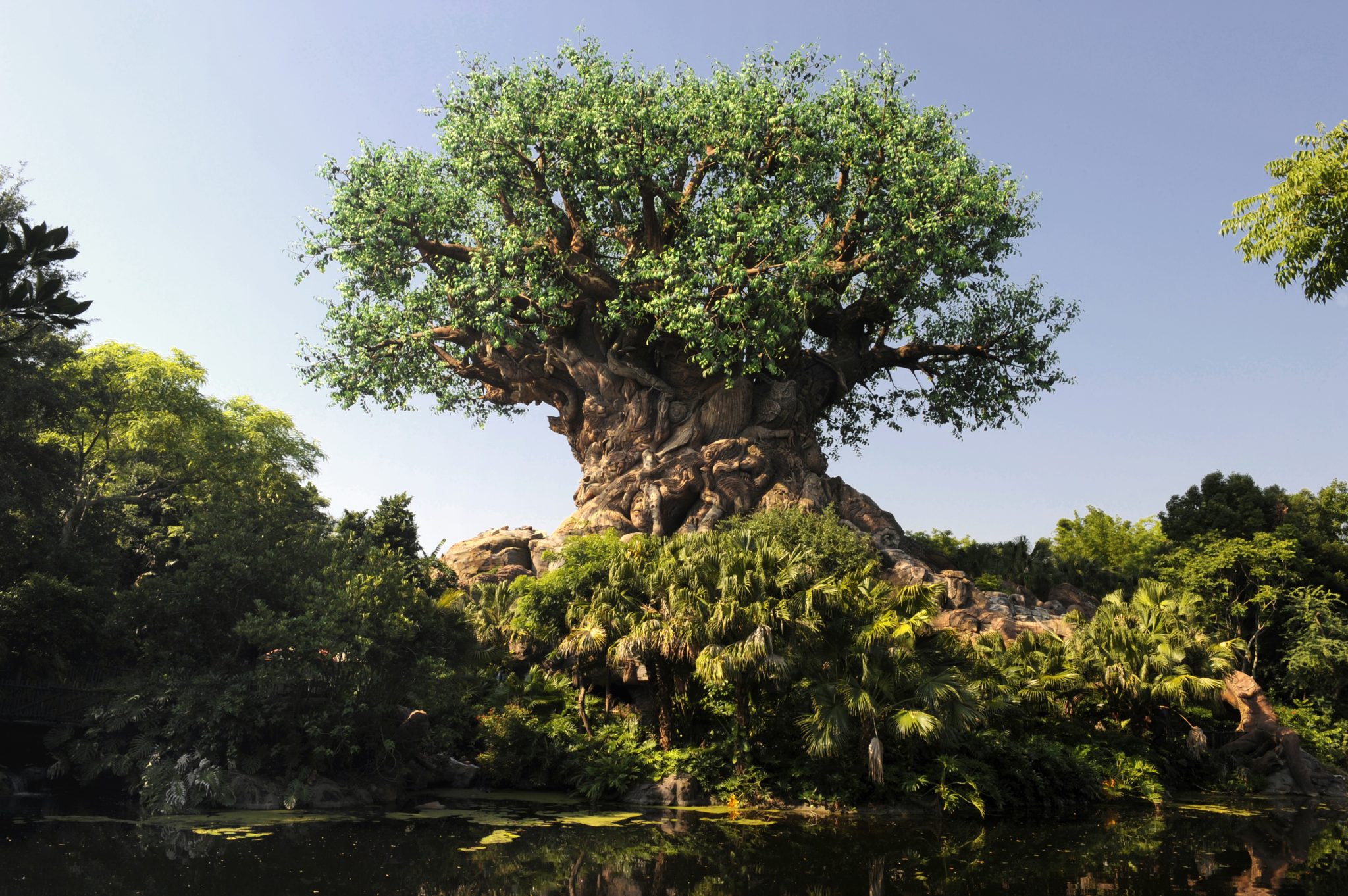 Taking a Bite out of Disney – Flame Tree Barbecue!