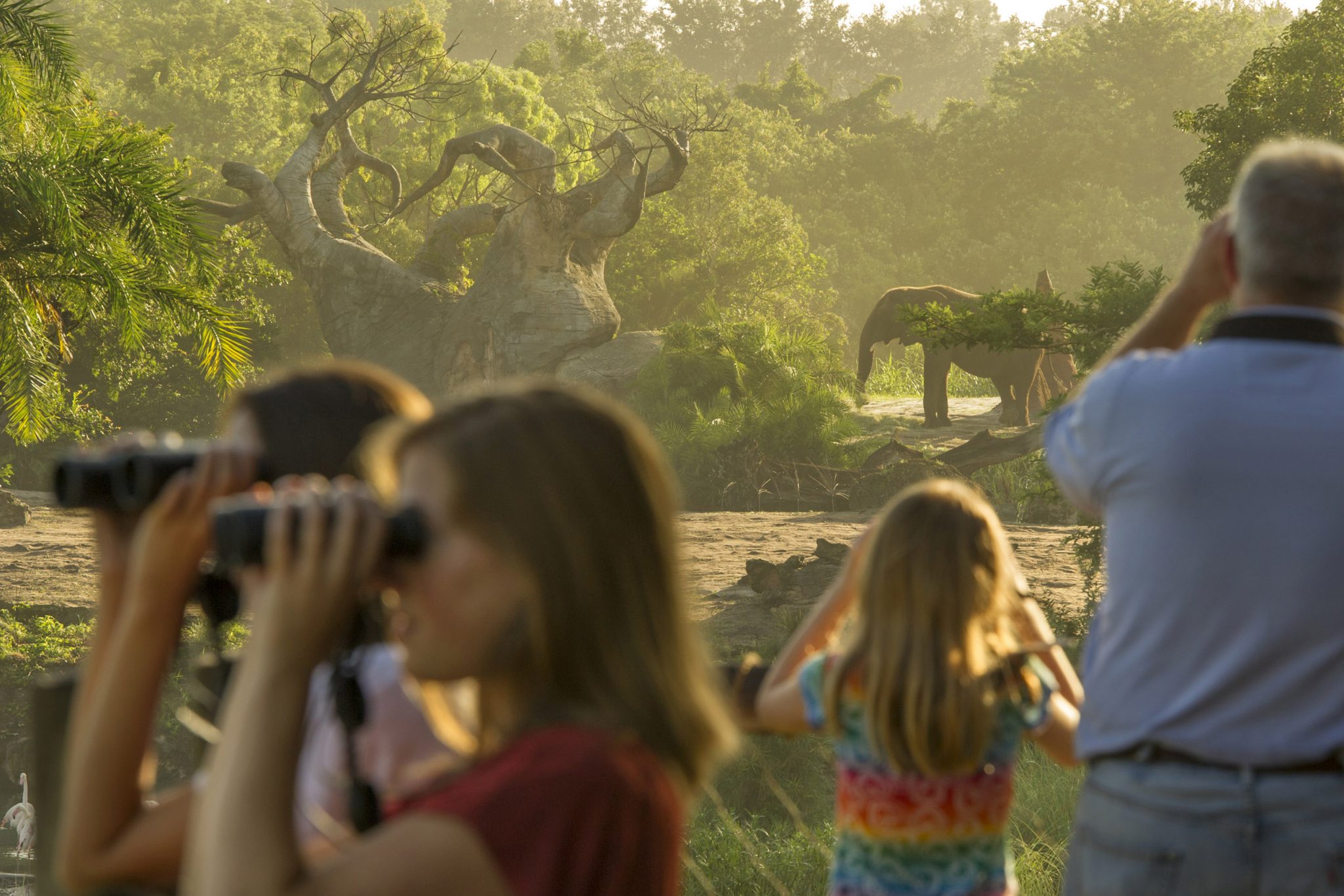 Guests look out over a wildlife-filled savanna on Wild Africa Trek, where adventure comes alive in an exciting experience at DisneyÕs Animal Kingdom. The add-on offering invites intrepid explorers to up-close encounters with the parkÕs wildlife. As part of their expert-led adventure, guests take safari vehicles to a serene overlook where they can savor Africa-inspired food and beverage while observing giraffes, elephants, gazelle and more. DisneyÕs Animal Kingdom is part of Walt Disney World Resort in Lake Buena Vista, Fla. (Kent Phillips, Photographer)