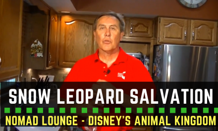 Snow Leopard Salvation from the Nomad Lounge!