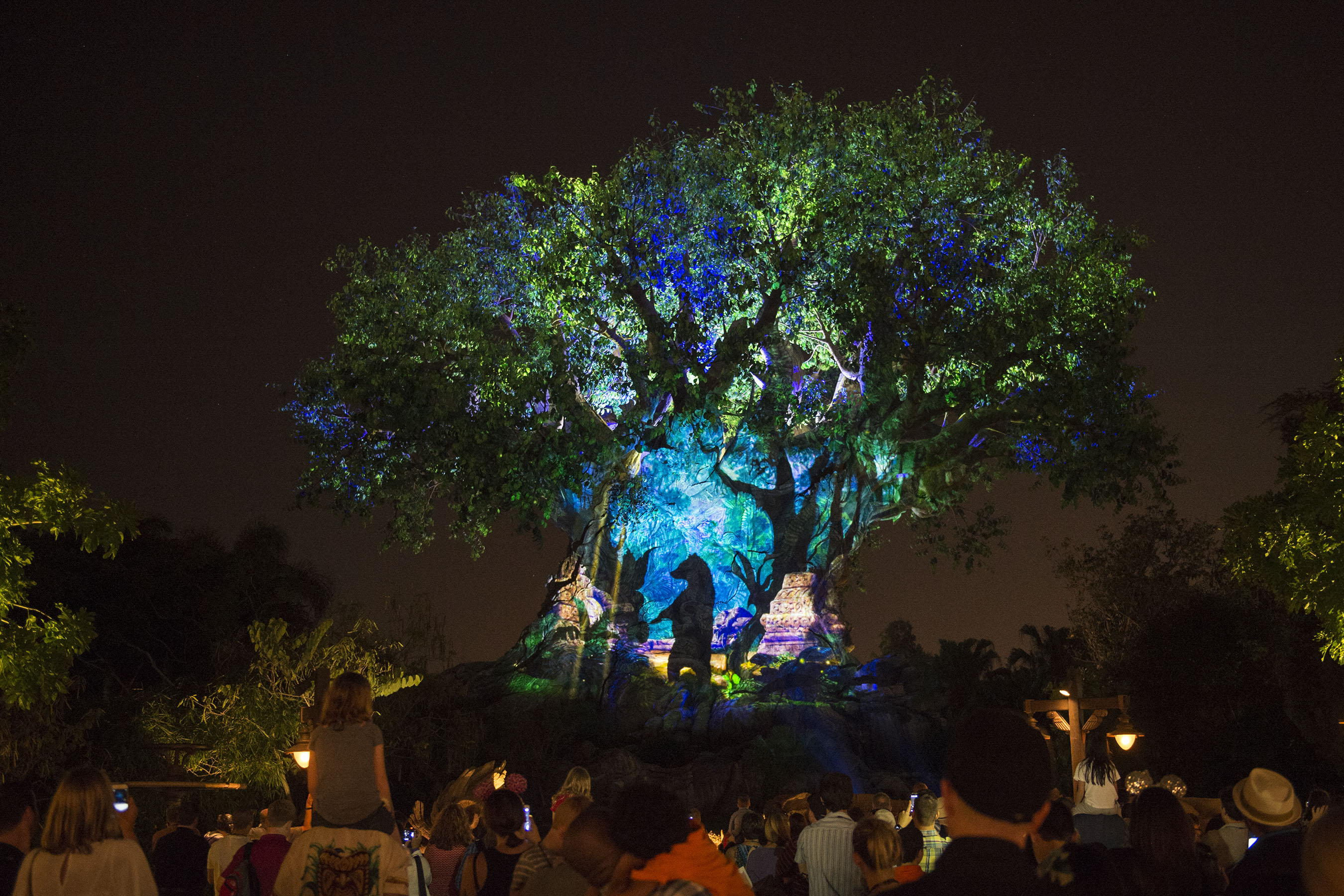 Resortloop Com Episode 597 Top 5 Favorite Spots Disney S Animal Kingdom Resortloop Com